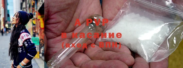 стафф Дмитриев
