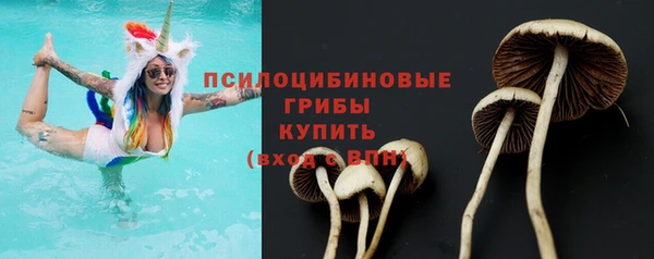 стафф Дмитриев