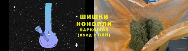 стафф Дмитриев