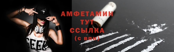 стафф Дмитриев