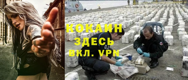 стафф Дмитриев