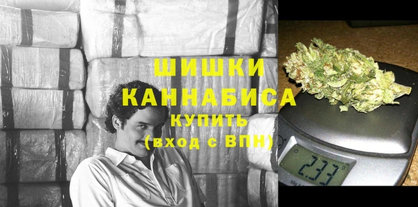 стафф Дмитриев