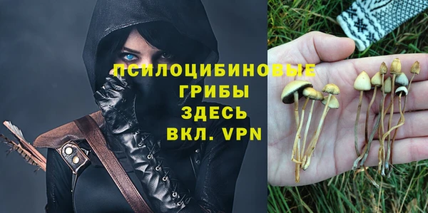 ALPHA PVP Дмитровск
