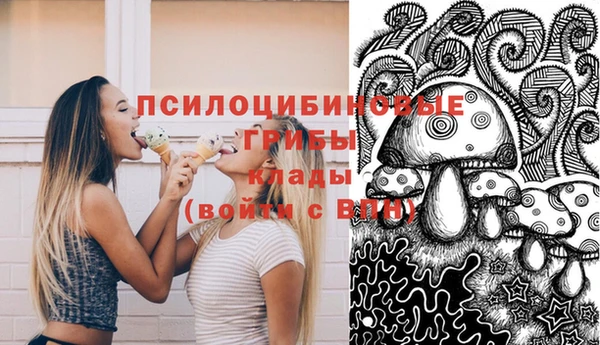 мяу мяу кристалл Дмитров