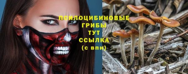 стафф Дмитриев