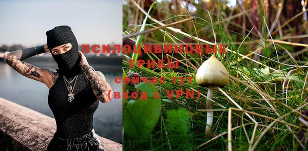 мяу мяу кристалл Дмитров