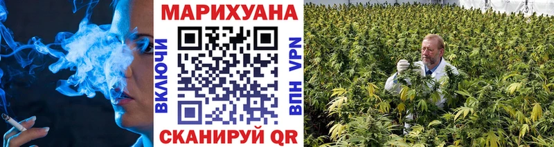 даркнет сайт  Заволжск  МЕГА tor  Канабис AK-47 